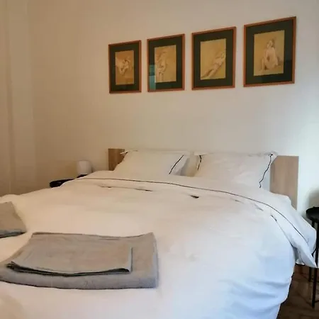 Apartment Adorable Modern 1br In The Heart Of Athens! *